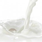 Precio de los lácteos cierra el año con leve baja en subasta de Fonterra
